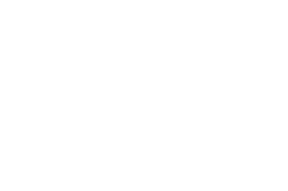 PPI Việt Nam